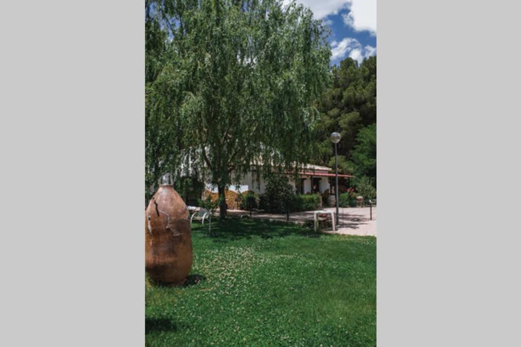 Casa Cueva Piena, Alcudia De Guadix Vila Exterior foto
